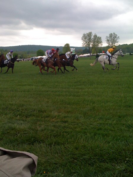 Gold Cup 003.JPG